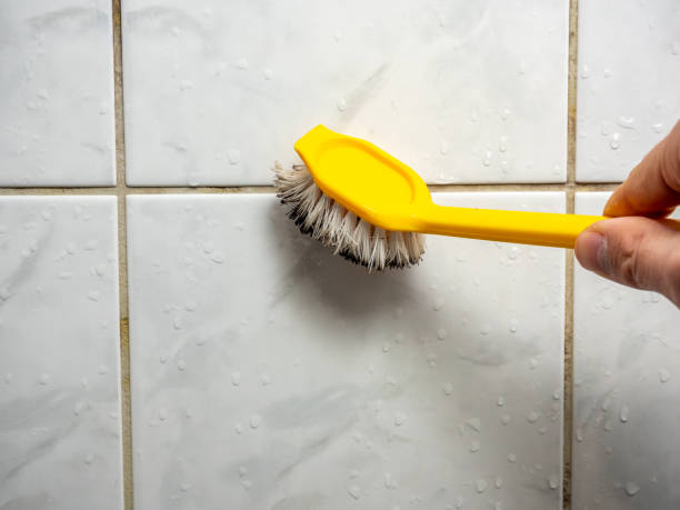 Best Mold Removal Company Near Me  in Elgin, SC